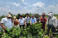 Tập huấn kỹ thuật trồng dâu, nuôi tằm tại xã Ea Knốp
